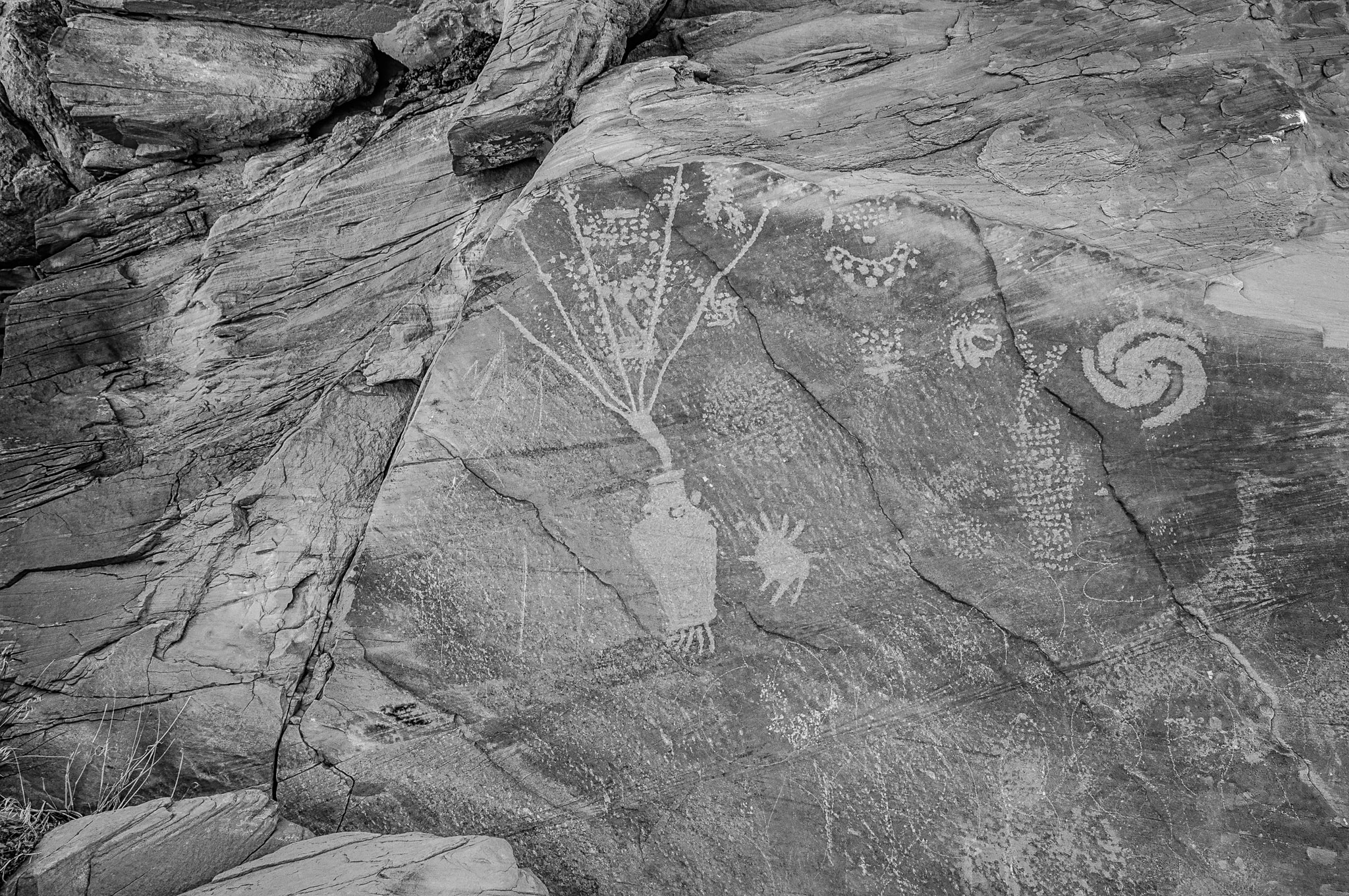 Closeup of petroglyphs on rock overlooking Cub Creek In Dinosaur National Monument.