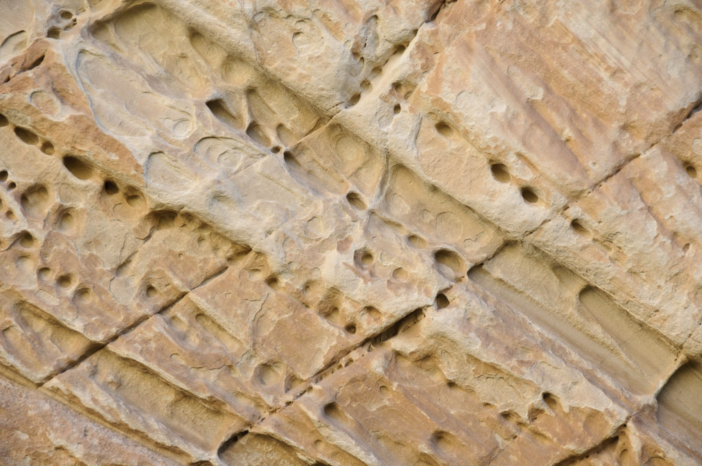 Holes in sandstone cliffs, also called tafoni, is in box canyon north of the Josie Morris Ranch In Dinosaur National Monument.