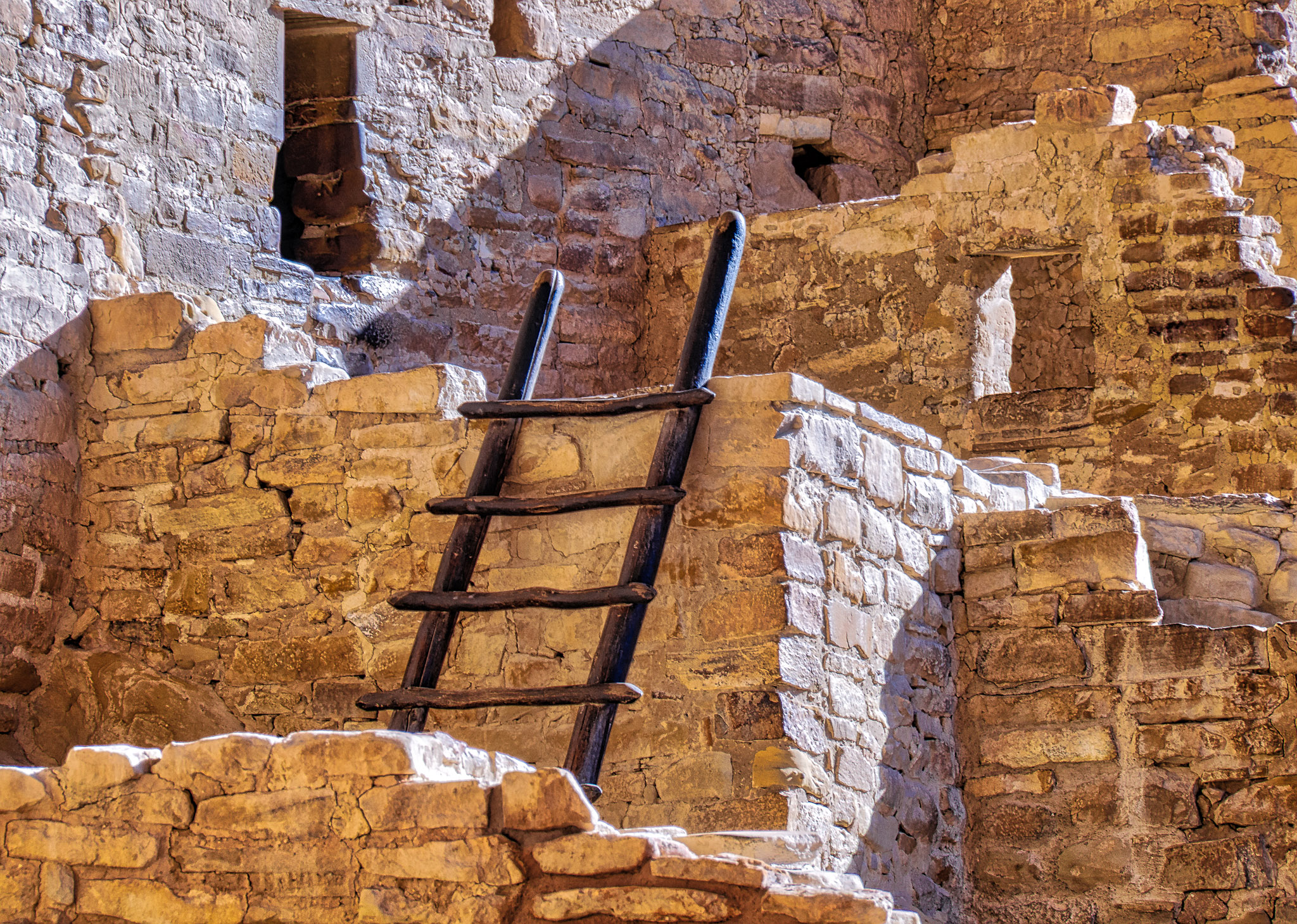 Ladder in the Cliff Palace Ruins in Mesa Verde National Park near Durango and Cortez, Colorado.