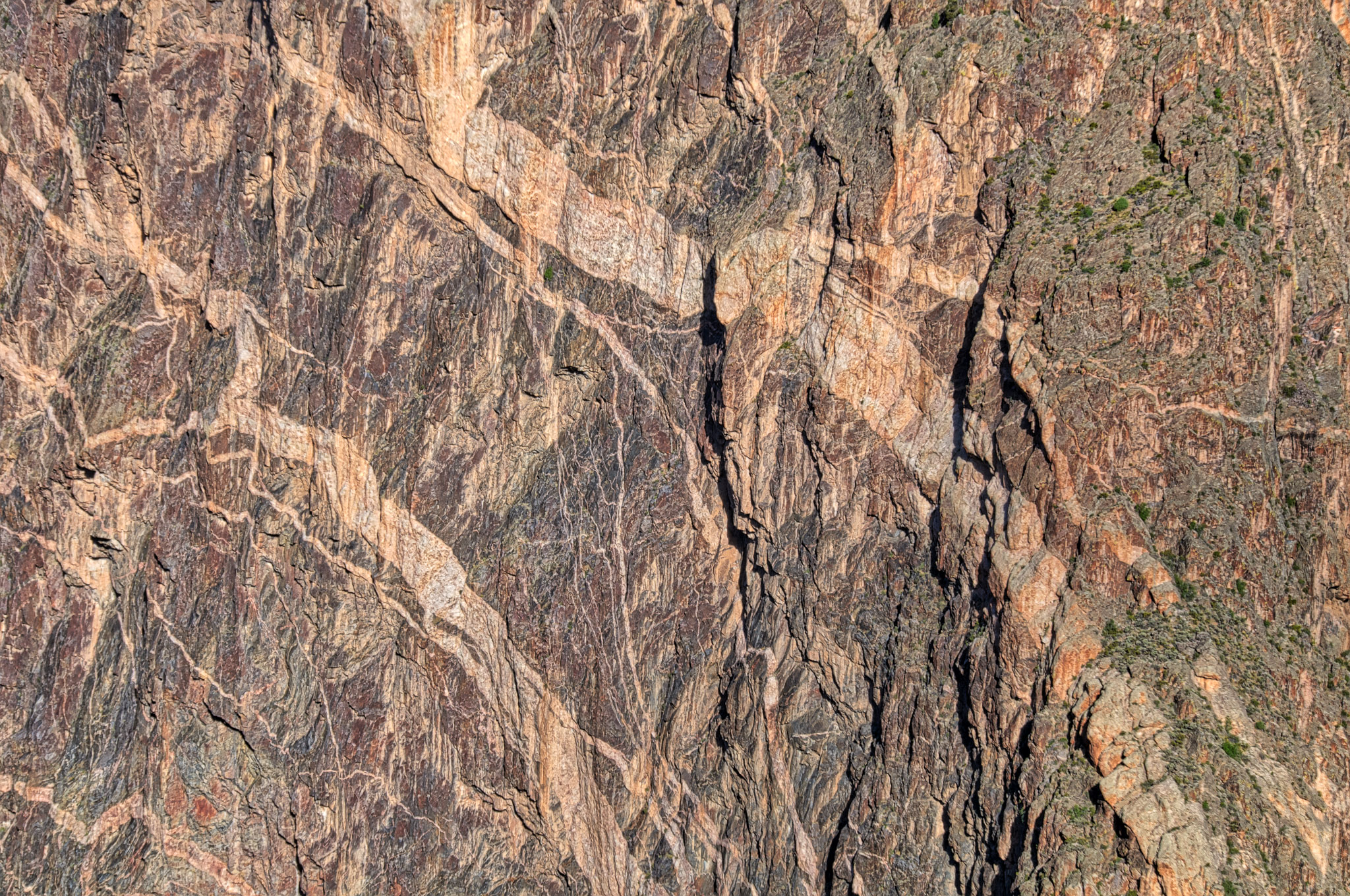 This is a detail of the feldspar pegmatites intruded into the 1.8 billion-year-old gneiss of the Painted Wall. taken from Dragon Point in Black Canyon of the Gunnison National Park near Montrose, Colorado.