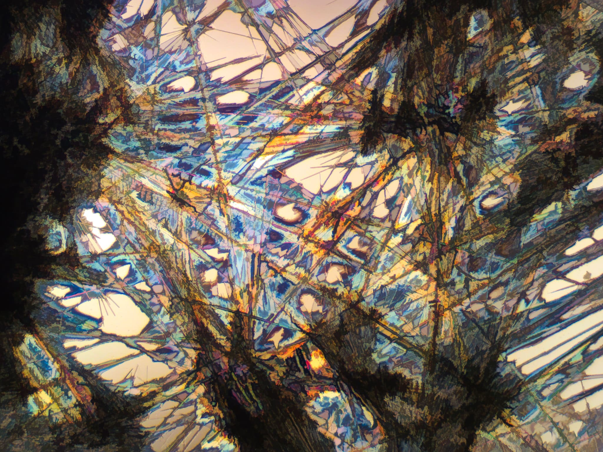 Microscopic crystals of Epson salt and caffeine at 4X.