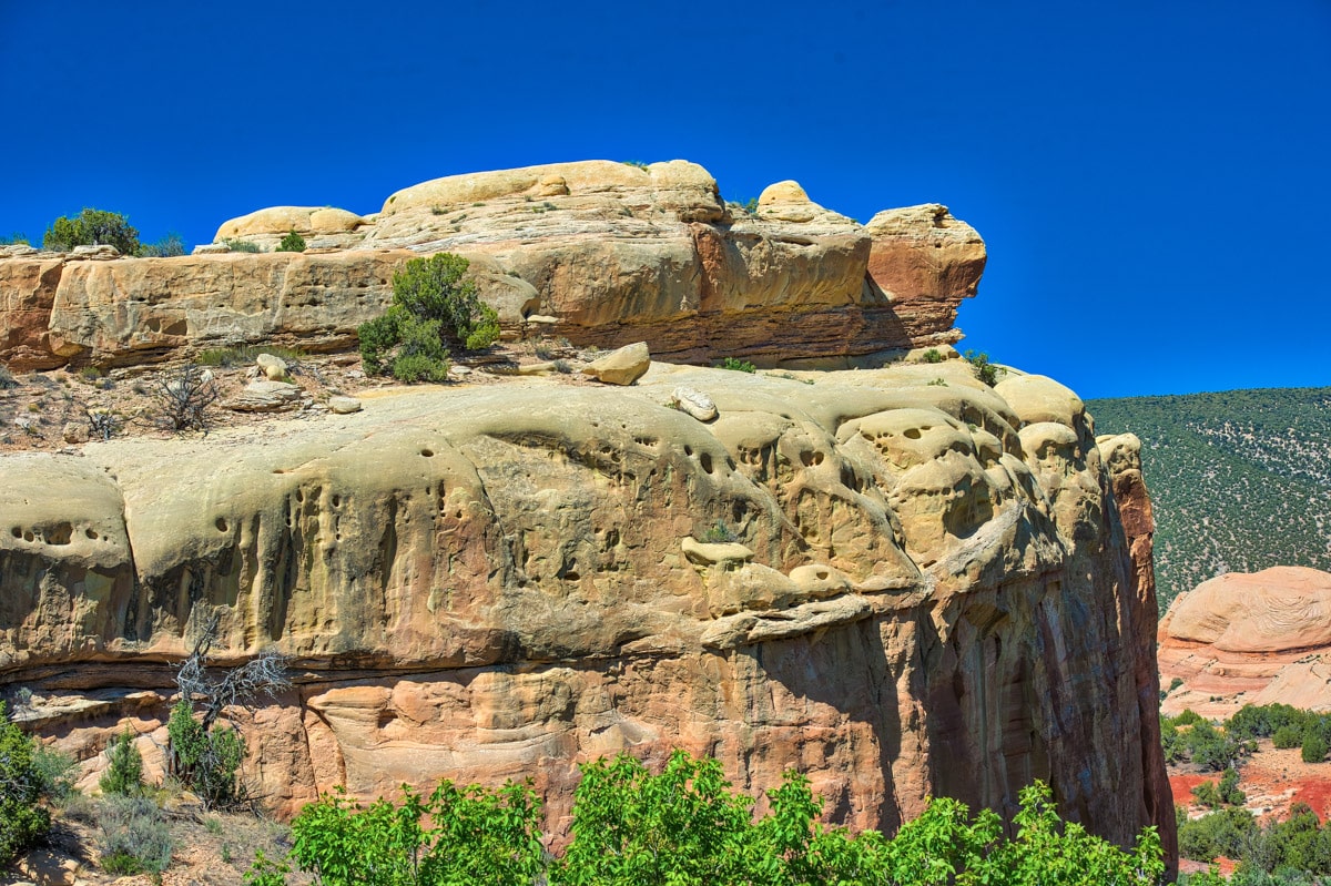 The eponymous turtle looks to be resting on a bed of skulls. This strange formation is on the north side of Cub Creek Road in Dinosaur National Monument, Utah. This formation is eroded in the Glen Canyon Group sandstone.