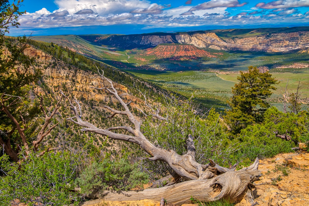 A view of Vivas Cake Hill from Canyon Overlook, along Harpers Corner Road in Dinosaur National Monument, Colorado.