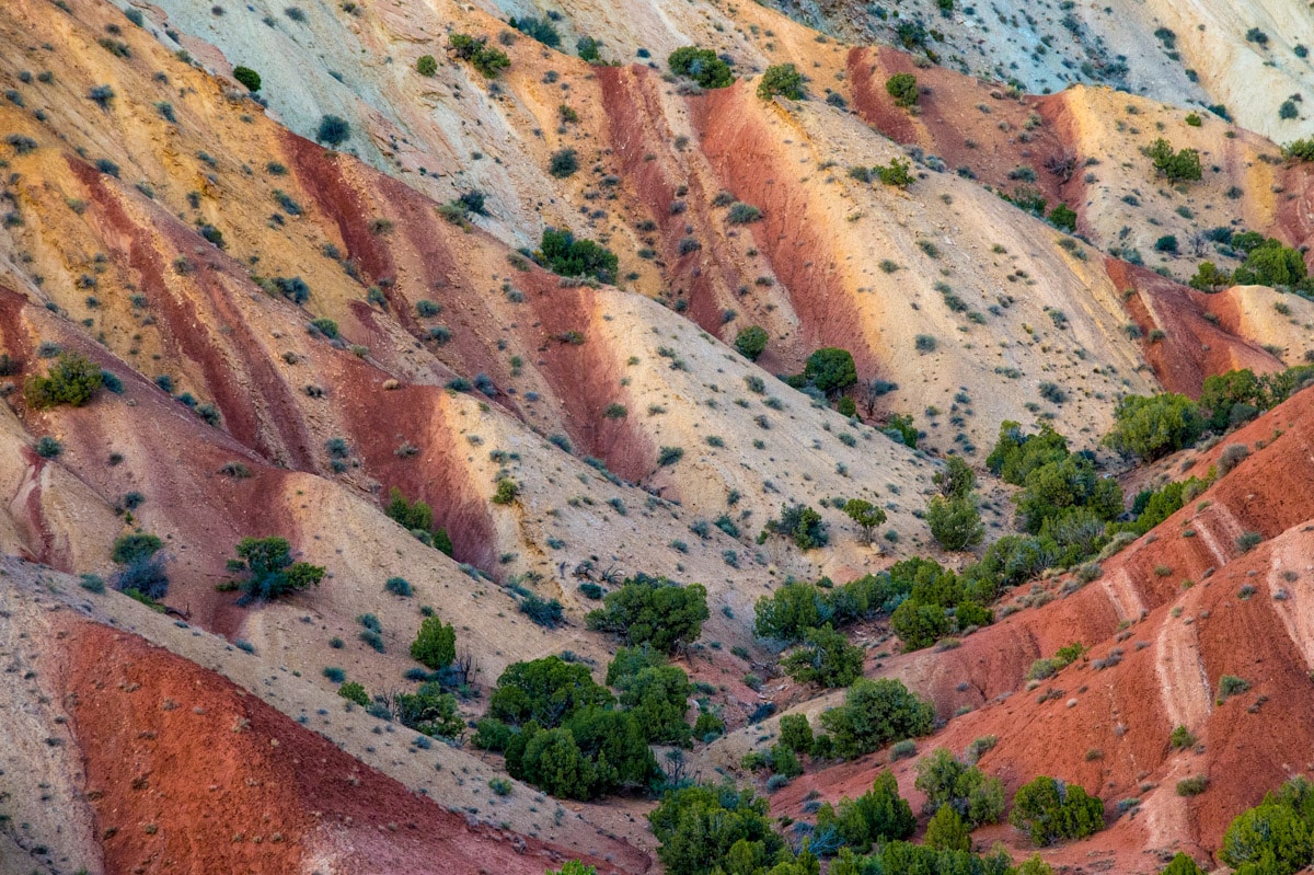 This closeup of the Chinle Formation was taken on the road to Split Mountain Campground and boat launch. It is located in Dinosaur National Monument, Utah.