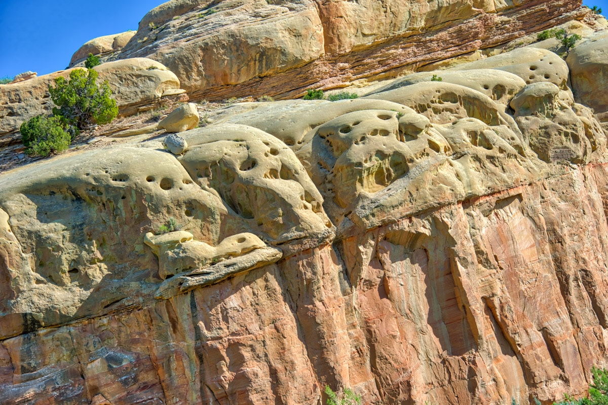 This is the base of the Turtle Rock formation, located on the north side of Cub Creek Road in Dinosaur National Monument, Utah. It has eroded from the Glen Canyon sandstone (sometimes called Nugget Sandstone), creating fanciful shapes and are reminiscent of melting skulls.