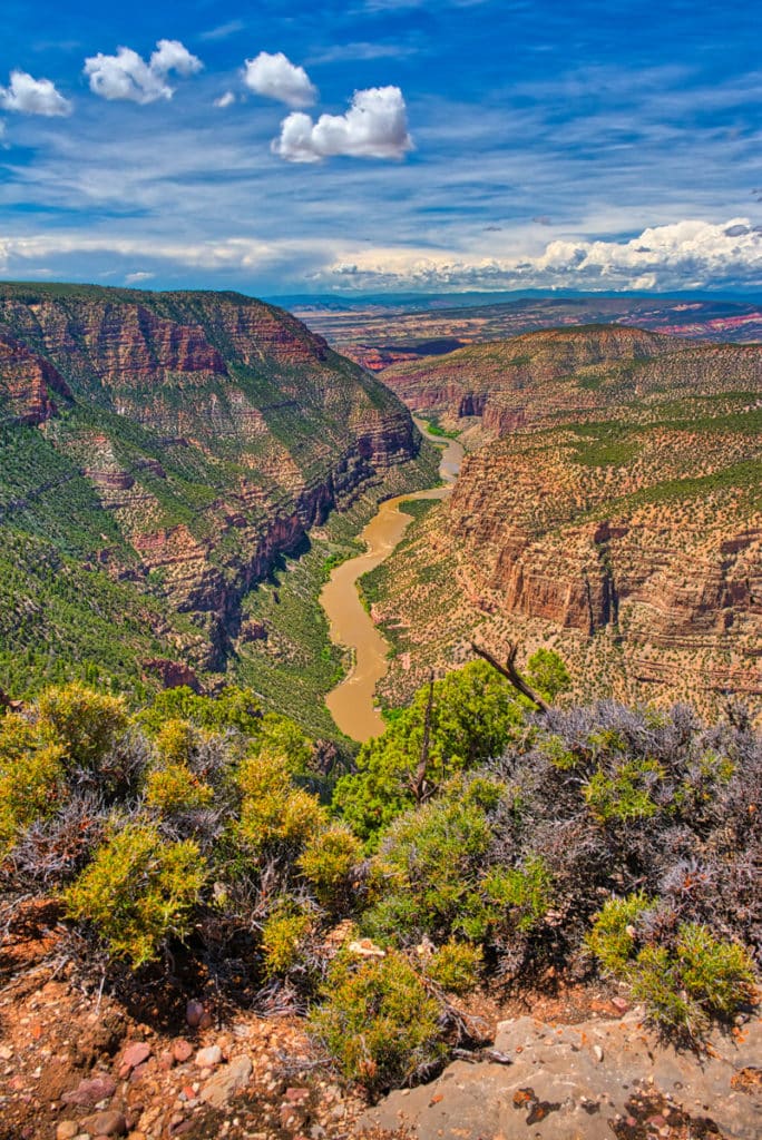A view of the Green River flowing west through Whirlpool Canyon, taken from the Harpers Corner Trail in Dinosaur National Monument, Colorado.
