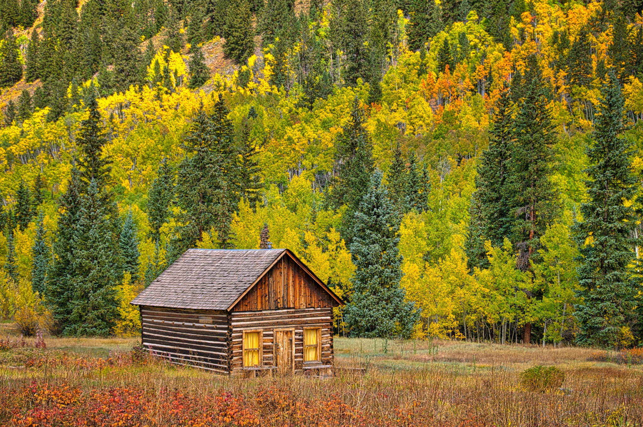 A sweet little log cabin sits in a field in Ashcroft Ghost Town near Aspen, Colorado.