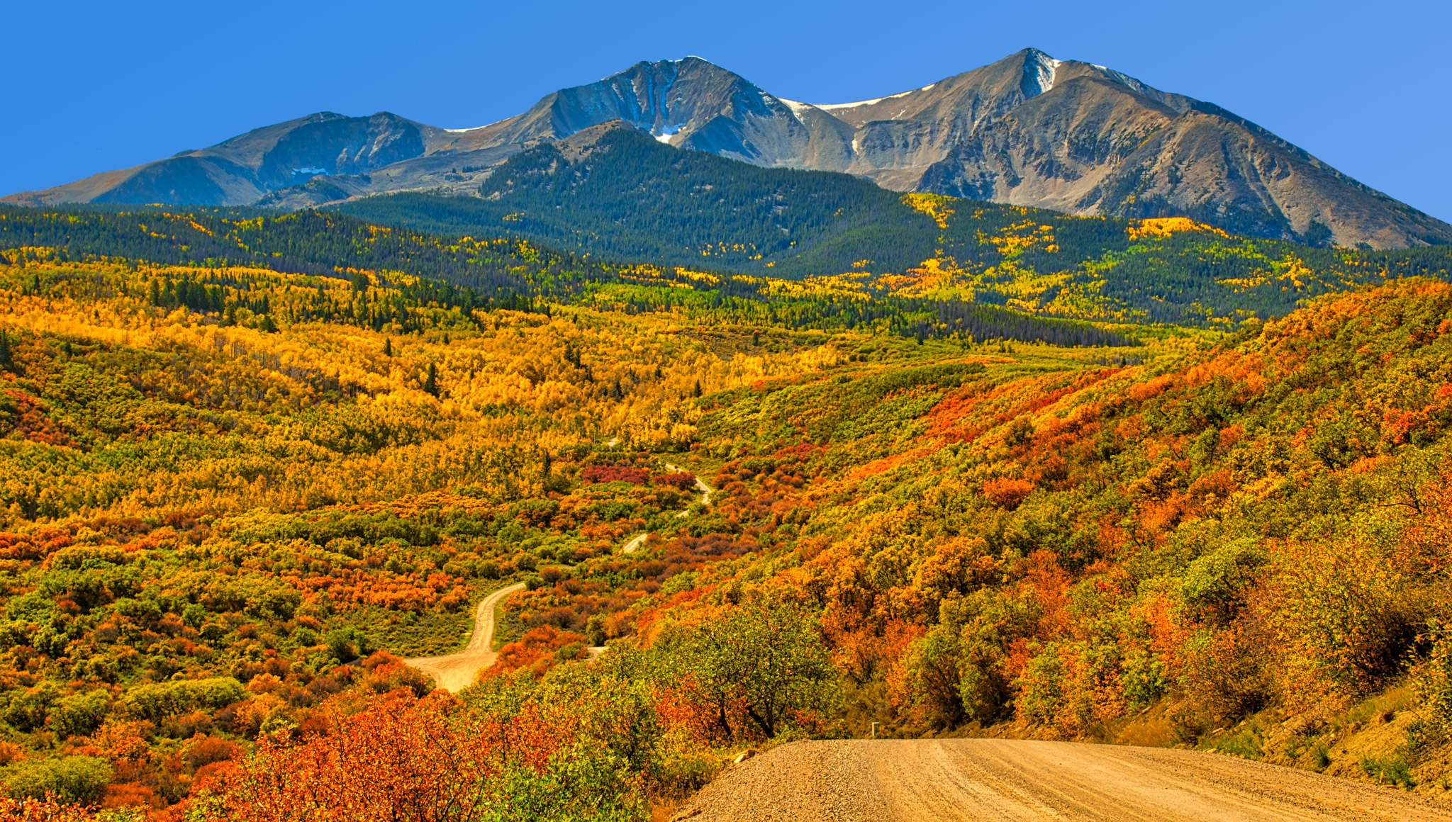 A rolling expanse of aspens, oaks, and pines create a panorama along West Sopris Creek Road near Aspen, Colorado.
