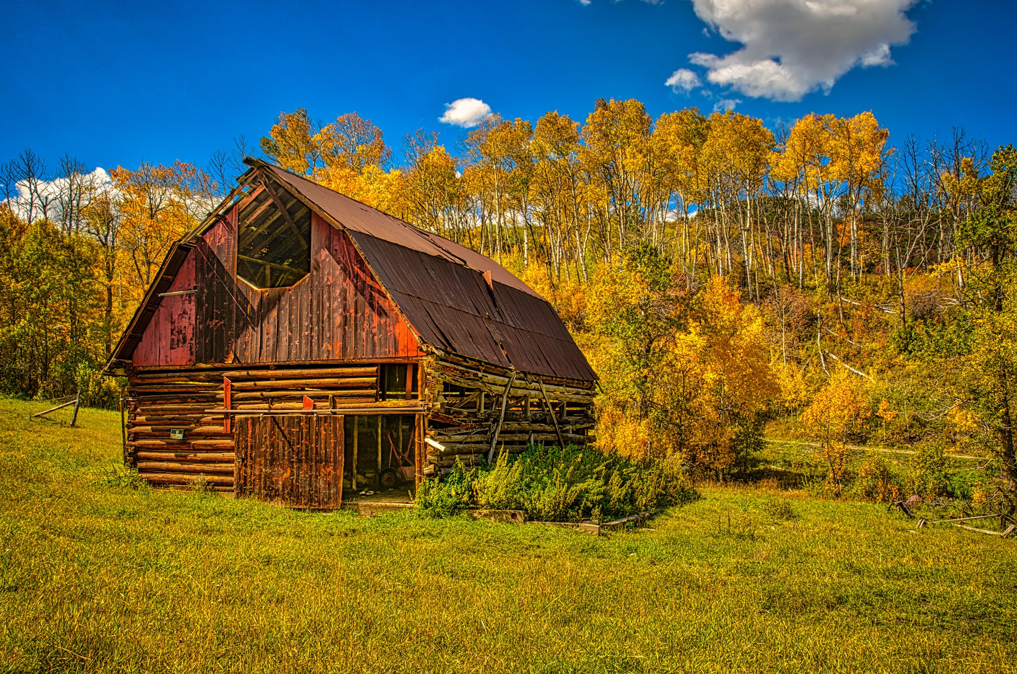 A run-down log barn is nicely backstopped with golden aspens, along Capital Creek Road near Aspen, Colorado.