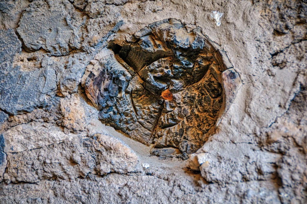 A plug inserted in the center of this partially burned viga indicated that a core sample has been removed for dendrochronology evaluation (tree-ring dating).