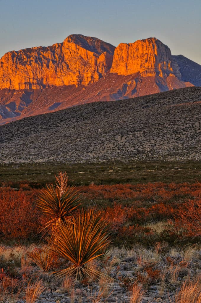 A view of the Guadalupe Mountains at sunset with yucca in the foreground.