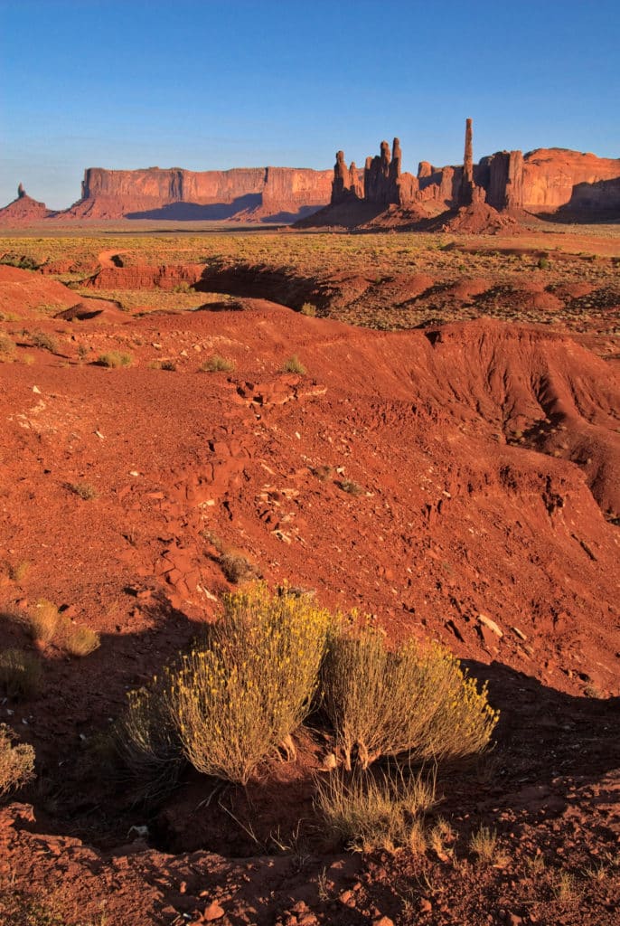 This is a view of the Totem Pole and Yei Bi Chei from the self-guided scenic drive around Rain God Mesa in Monument Valley Navajo Tribal Park on the border between Arizona and Utah.