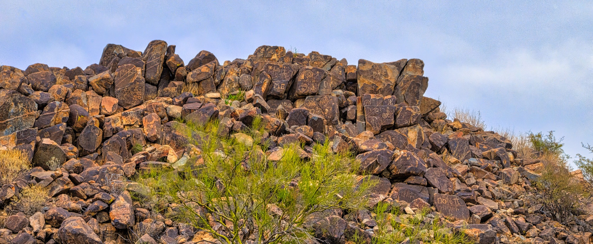 Petroglyphs at top of Signal Hill in Saguaro National Park, near Tucson, Arizona.
