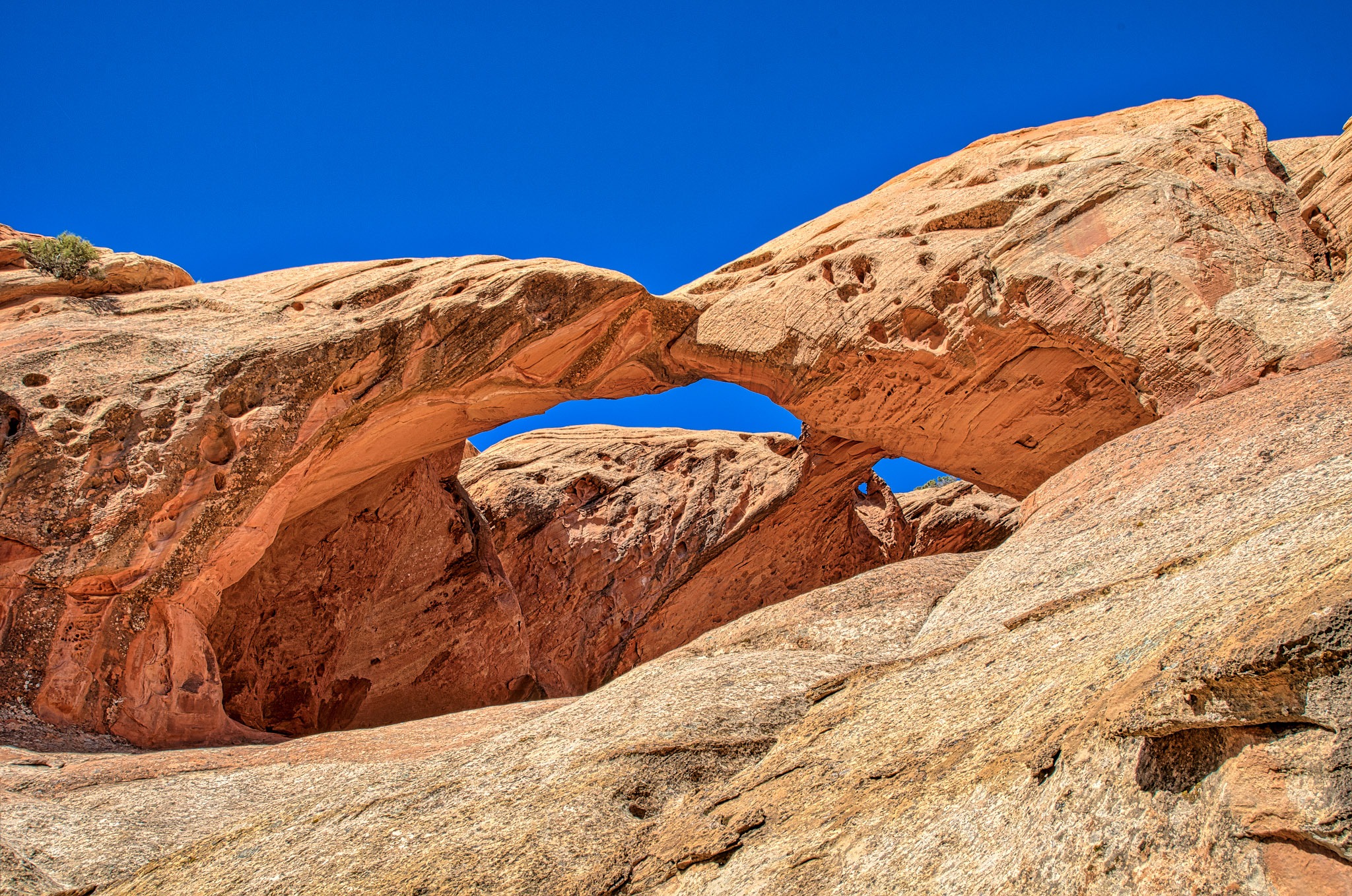 This double arch, sometimes called Trinity Arch, Beta Arch, or Twisted Muley Arch is visible on the west side of Upper Muley Twist Canyon Road, off the Burr Trail in Capitol Reef National Park, Utah.
