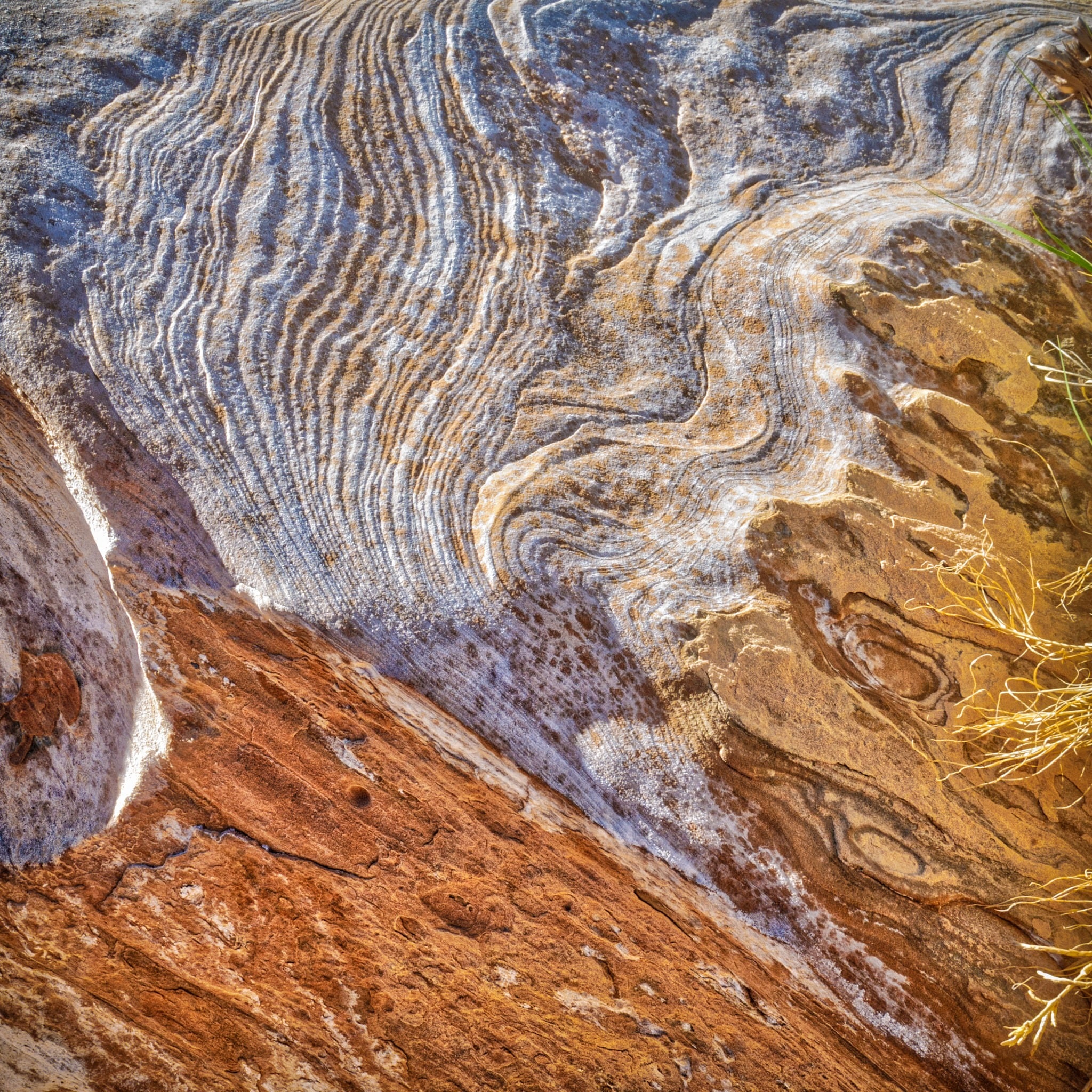 This rock texture along Upper Muley Twist Canyon Road is representative of the beautiful patterns in the sandstone of the Waterpocket Fold, in Capitol Reef National Park, Utah.