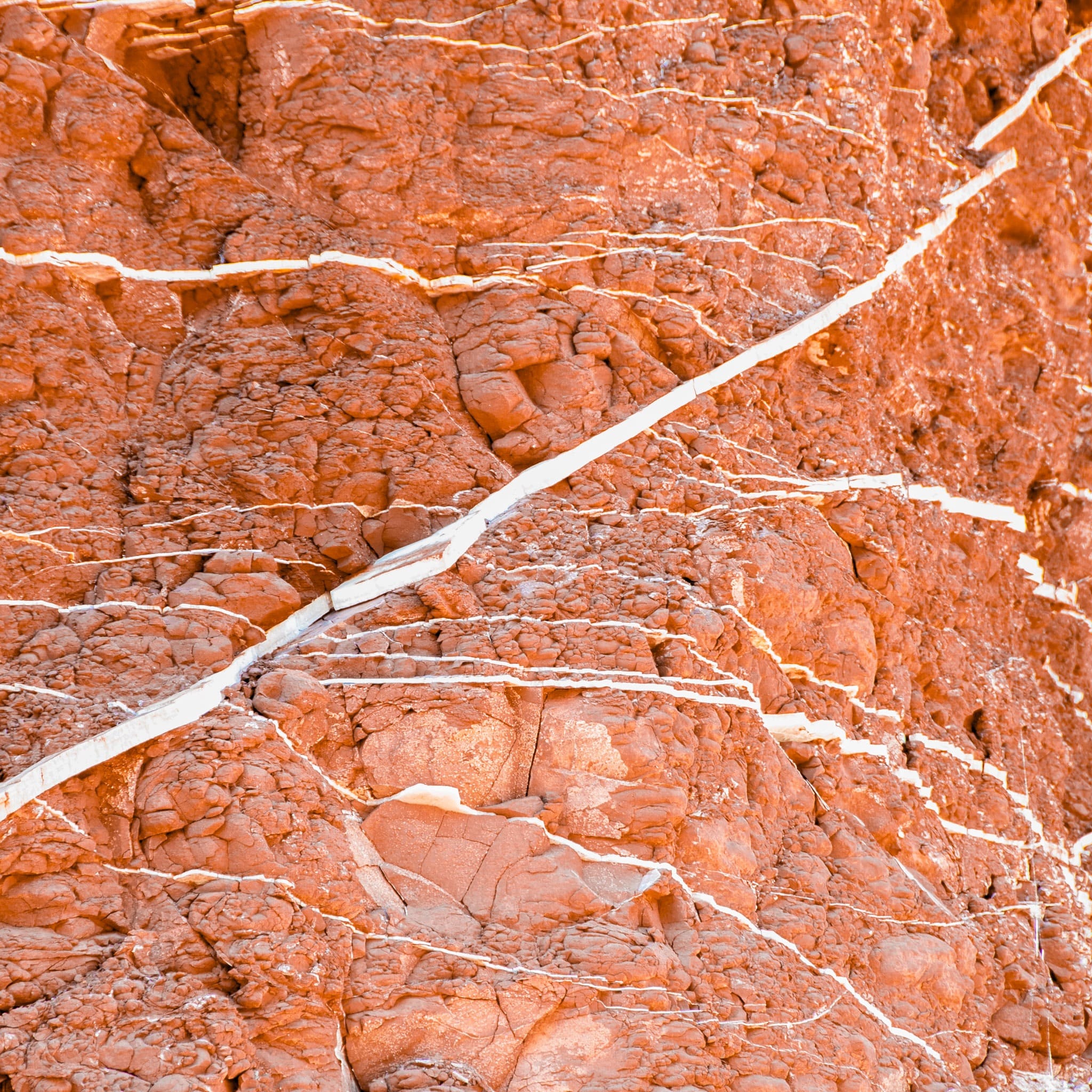 These veins of the mineral gypsum criss-cross through a member of the Moenkopi Formation along the Scenic Drive in Capitol Reef National Park, Utah.
