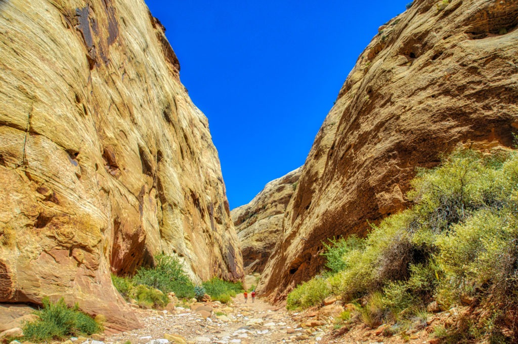 This is a view down Capitol Gorge Trail, with two hikers, in Capitol Reef National Park, Utah.