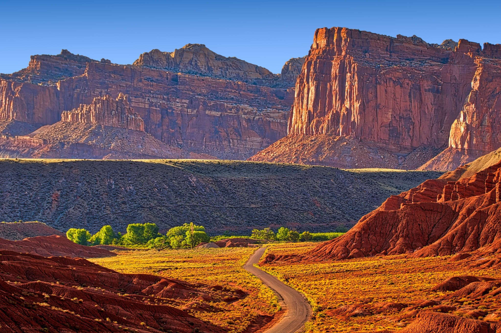 The afternoon light enhances the rich colors of the Moenkopi, Chinle, Wingate, and Navajo formations, as seen from Scenic Drive, south of Fruita in Capitol Reef National Park, Utah.