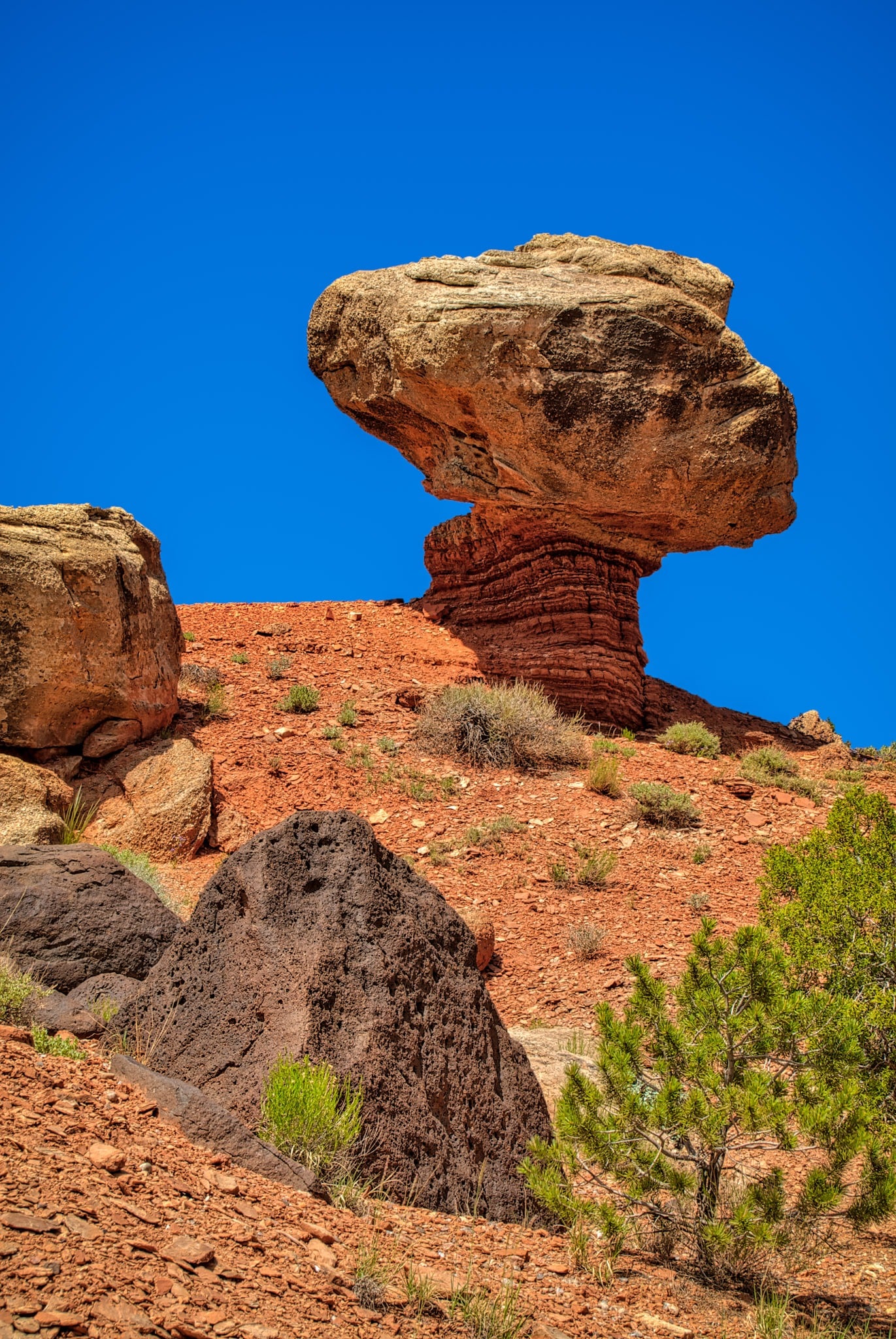 This mushroom rock formation has a Shinarump 'shroom balanced upon a Chinle Formation stem. This formation is on Hartnet Road near Cathedral Valley Overlook in Capitol Reef National Park, Utah.
