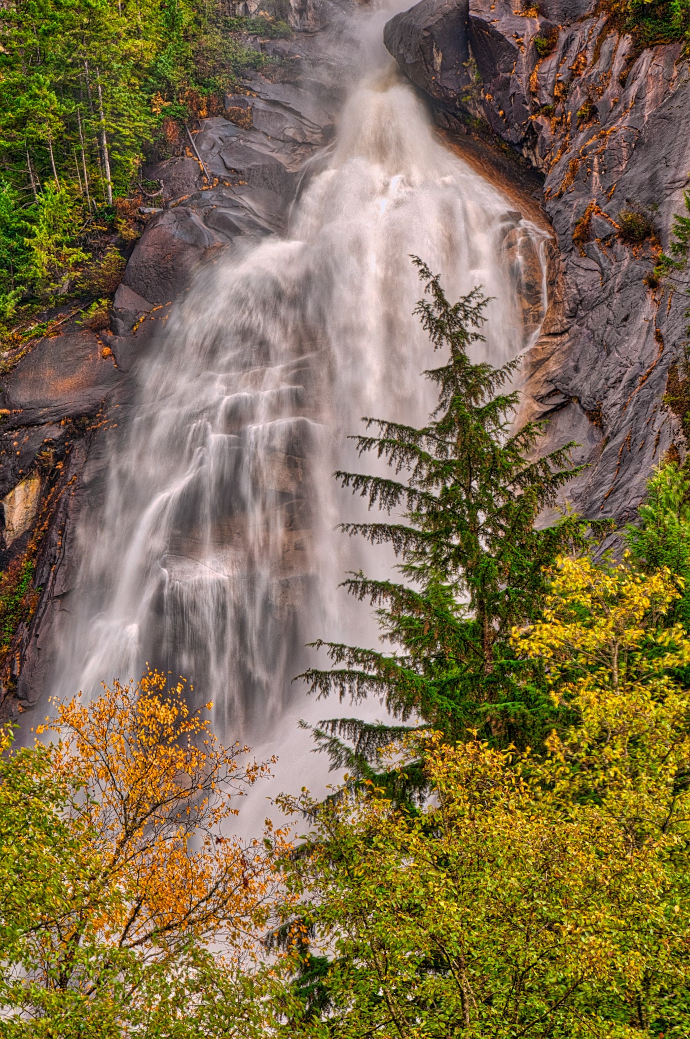 A view of Shannon Falls through a frame of pine trees in Shannon Falls Provincial Park off the Sea-to-sky Highway along the coast of British Columbia.