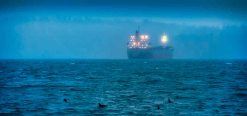 Ship waits out the rain off Locarno Beach in Vancouver. The cormorants seemed equally resigned to a few days of wet weather. Sea-to-Sky Highway