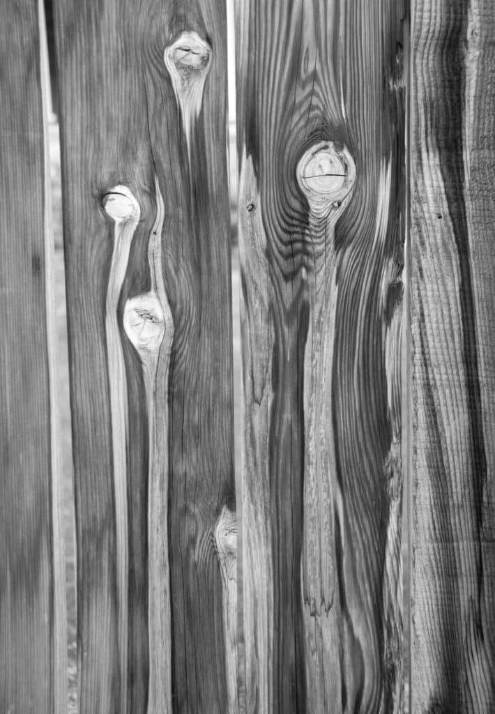 The knots and grain of this wooden fence stand out in this black-and-white treatment.