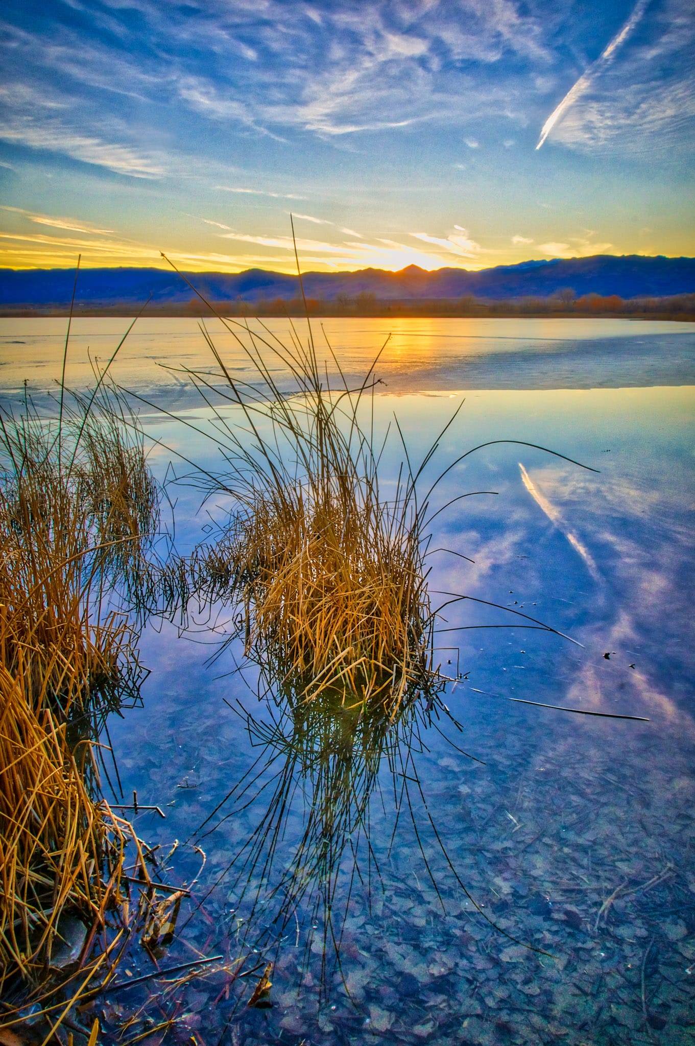 As the sun sets along the Front Range of Colorado, clouds and grasses are reflected in the still waters of one of the ponds at Walden Ponds Wildlife Habitat in Boulder Colorado.