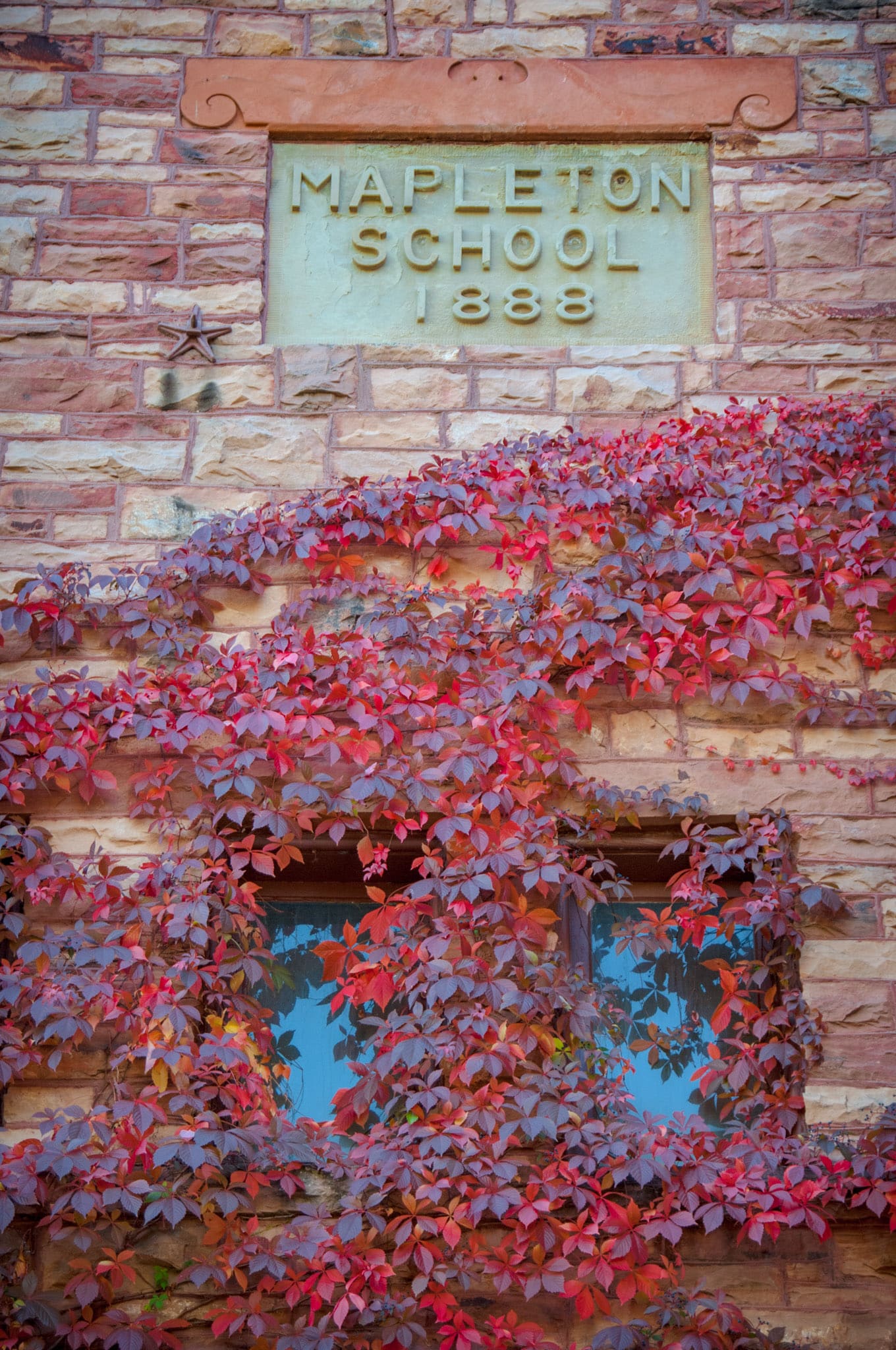The Virginia Creeper turns red in the fall and adorns the red standstone wall of the Mapleton School in Boulder, Colorado.