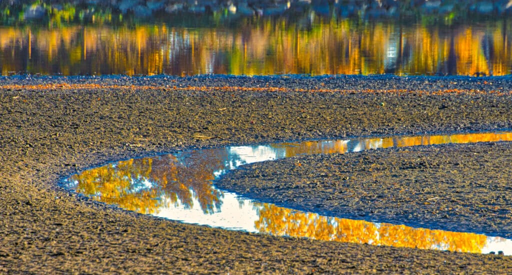 Golden reflections mark the fall season around Twin Lakes in Boulder, Colorado.