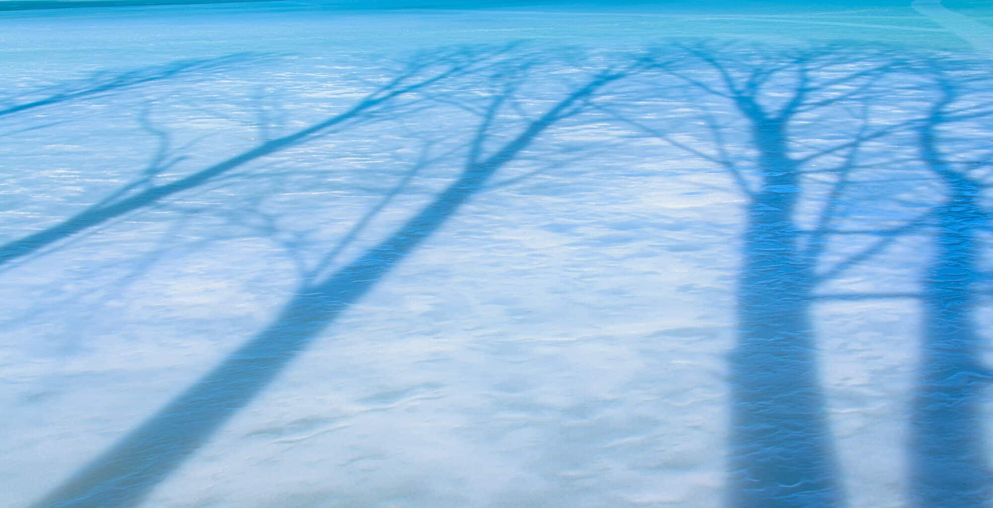 Trees cast a shadow on the icy surface of Coot Lake in Boulder, Colorado.