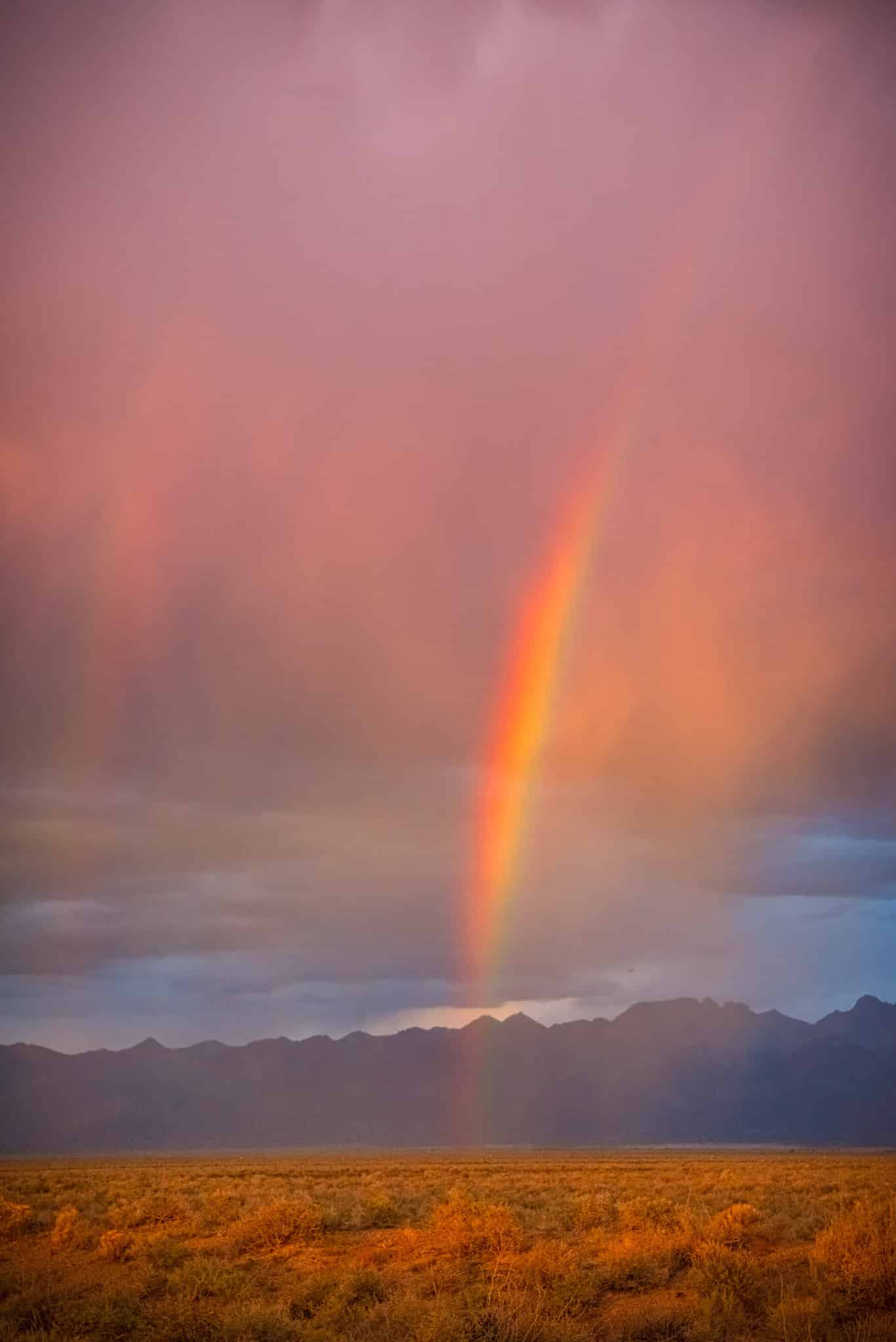 A brilliant rainbow emerges from the virga on the high plains near the Great Sand Dunes National Park and Preserve near Alamosa, Colorado.