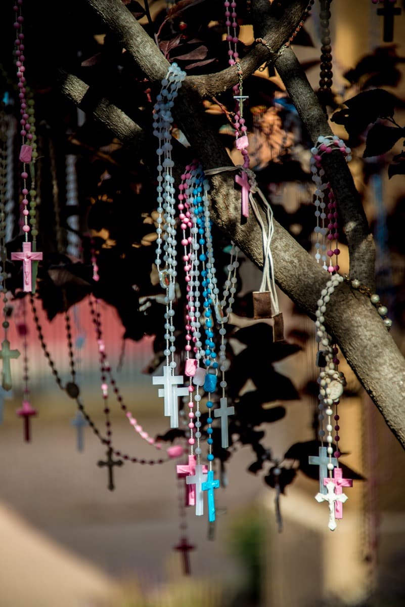 Visitors to the Loretto Chapel hang rosaries from flowering fruit trees that surround the chapel. Periodically, the rosaries are removed and buried beneath the chapel's windows. Soon, however, the trees are once again heavy with these devotions.