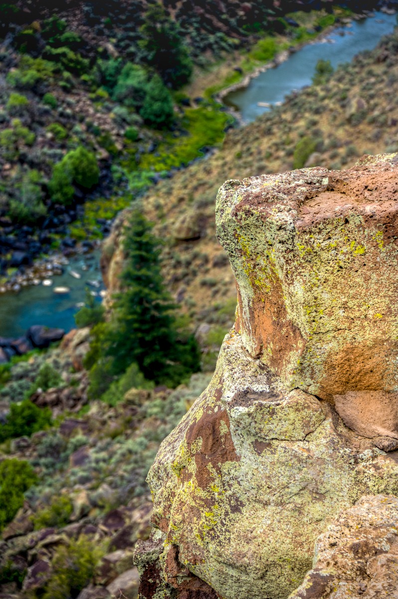 Green lichen grows on a rhyolite boulder in Wild Rivers Recreation Area in northern New Mexico. In the distance is the Rio Grande.