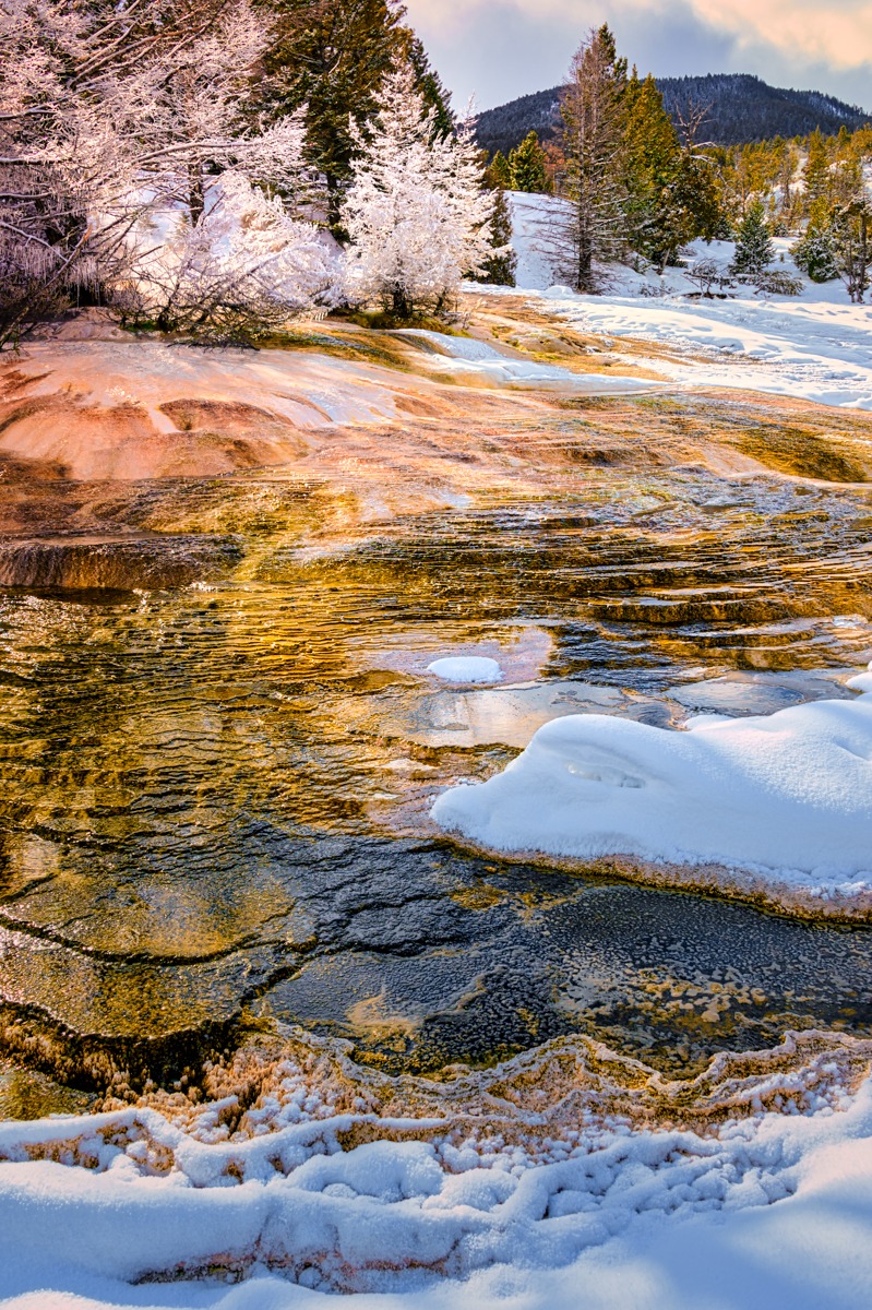 These hot-spring terraces are located in the Mammoth Lower Terraces area of Mammoth Hot Springs in Yellowstone National Park in Wyoming.