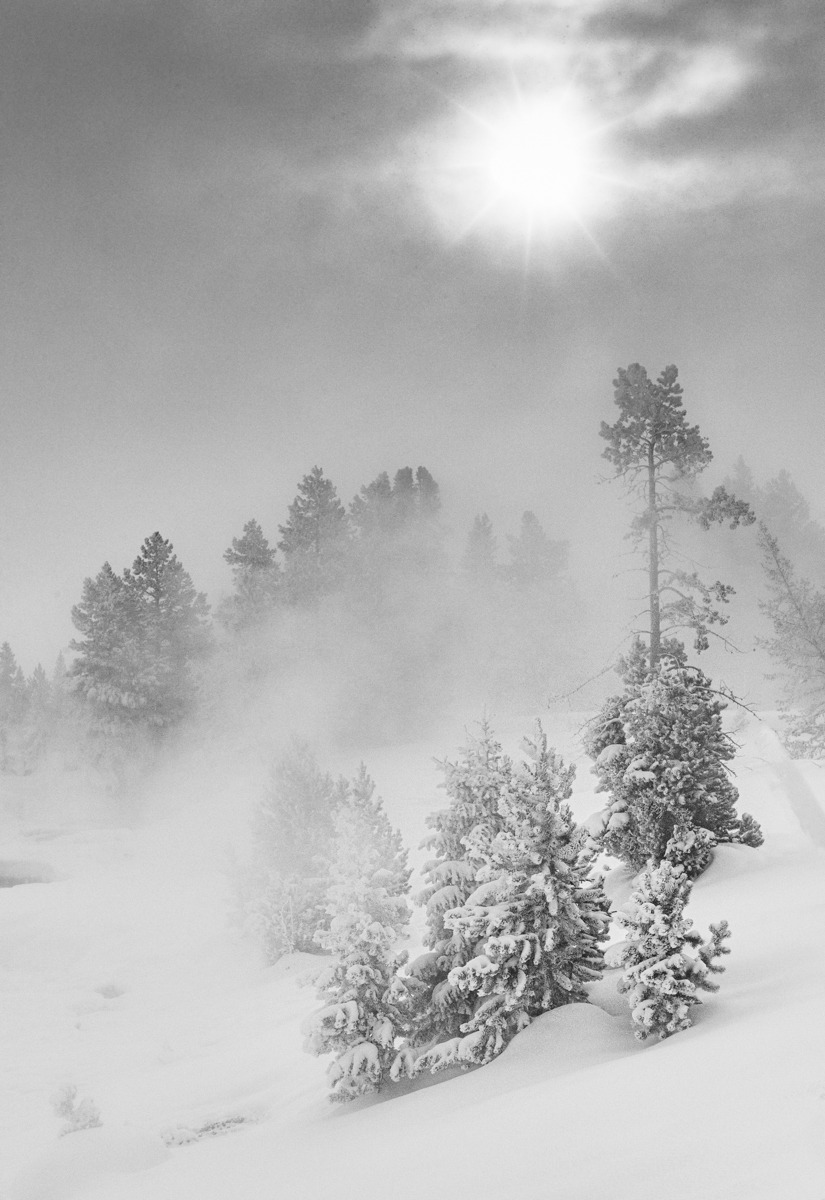 The early morning sun peeks through the ice fog that envelopes the trees near West Thumb in Yellowstone National Park. The temperature is -24F.