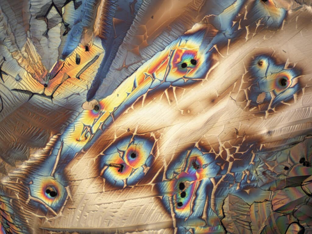 Photomicrograph of pollen in Epson salt.