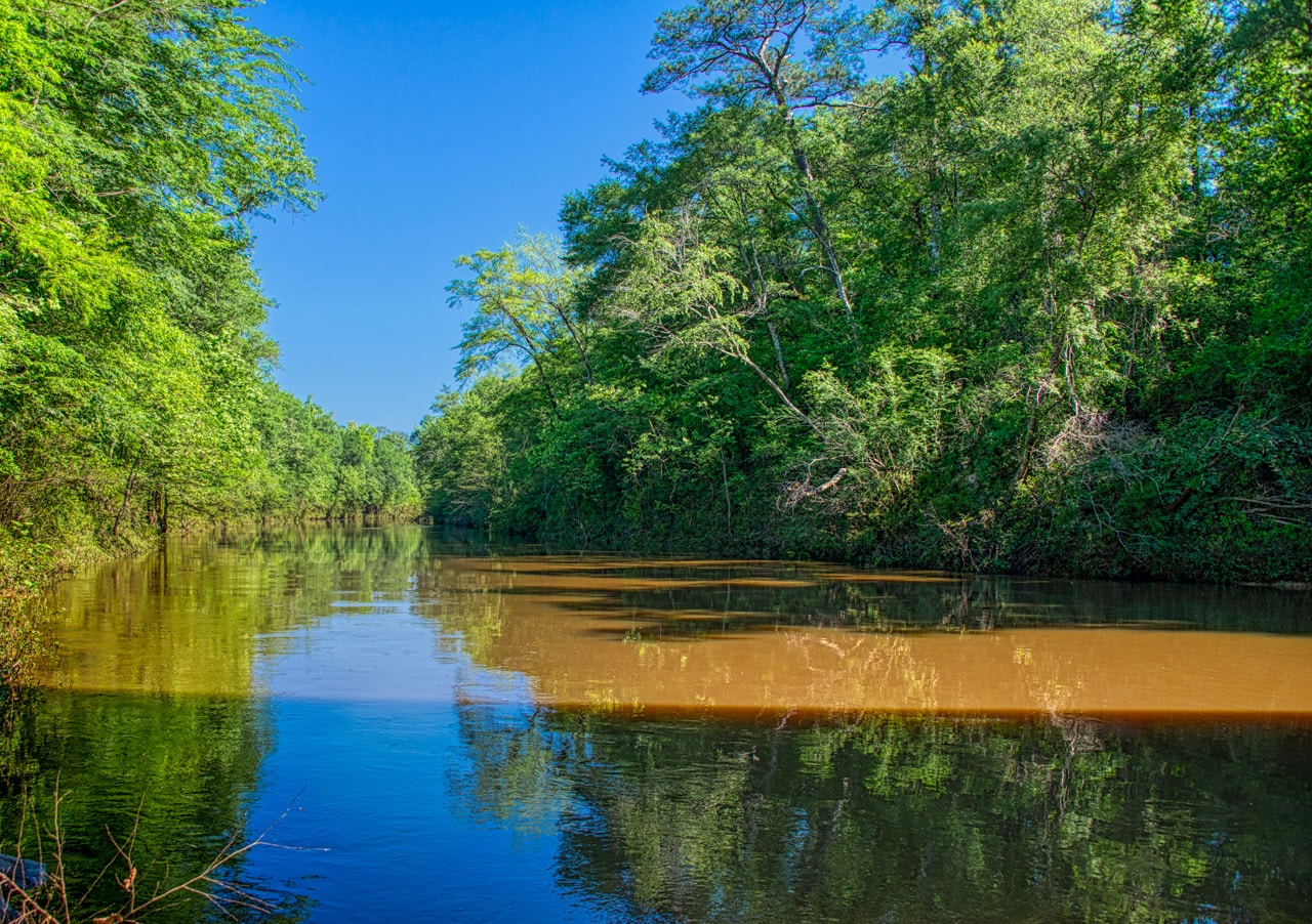 A view of the Sepulga River from the Bull Slough Bridge near Brooklyn, Alabama, in Conecuh County. Adjacent to the bridge is a launch for the Sepulga River Canoe Trail.