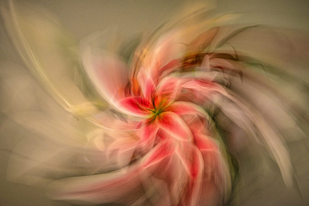A bouquet of Asiatic lilies appear to be spinning. Only the center lily is recognizeable.