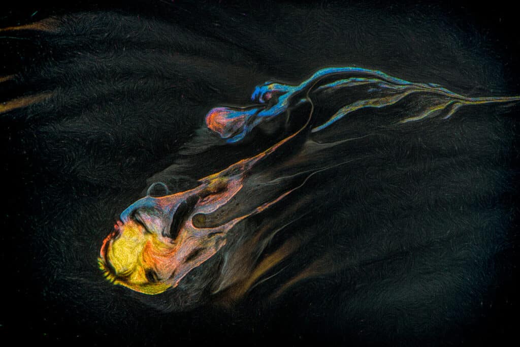 This is a photograph of different colored paint swirling in abstract compositions.