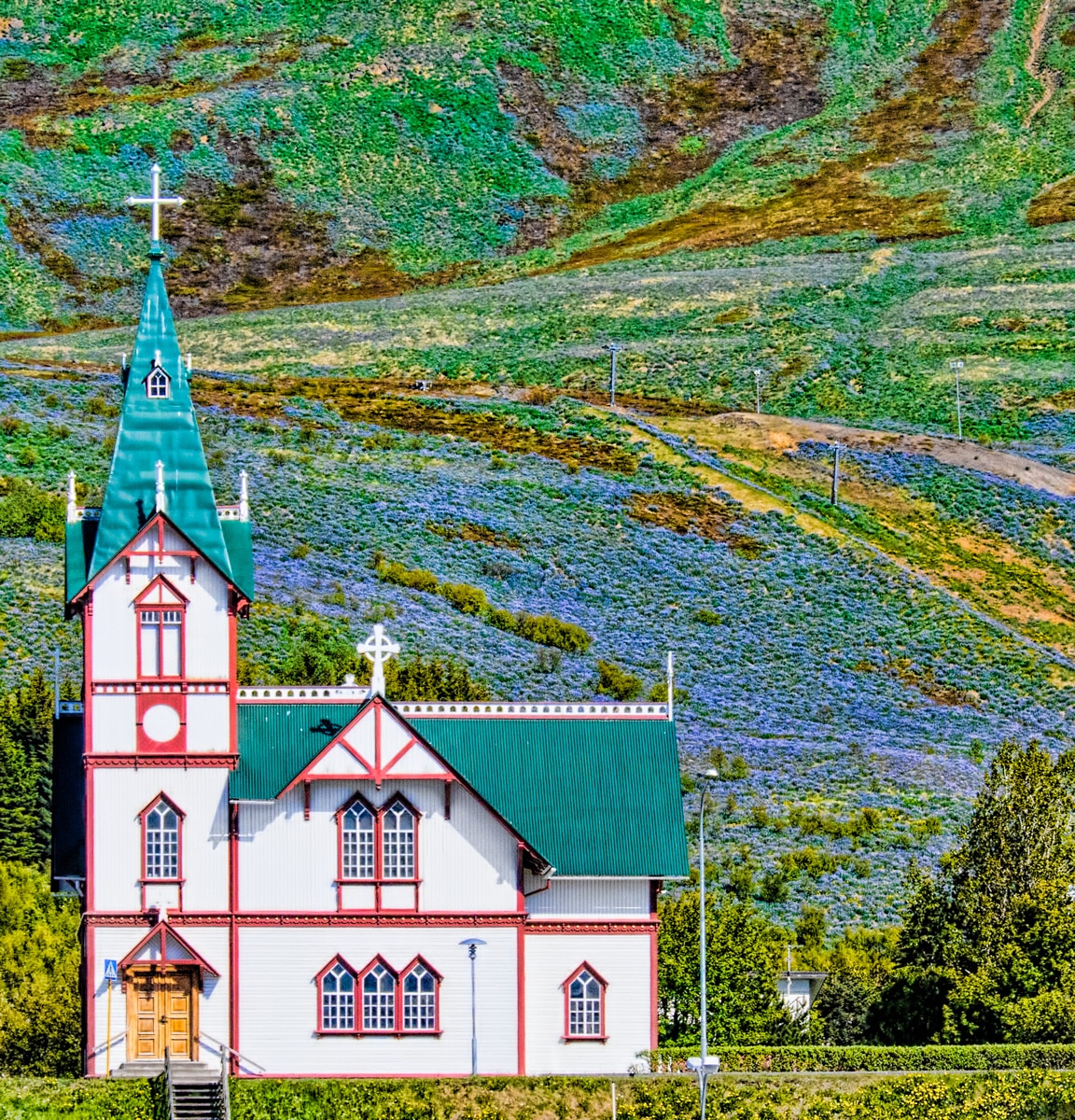 The church in the port town of Húsavík is a major landmark, with the belltower measuring 26 meters (over 85 feet) in height. It was built in 1907 from wood, a somewhat costly building material because it had to be imported from Norway. On the hillside behind the church is purple lupine.