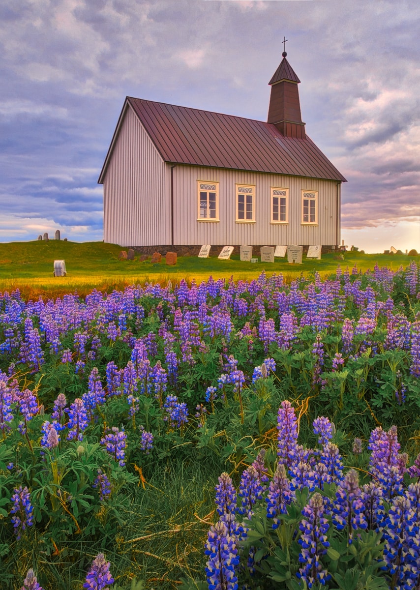 In early June, lupine flank the cemetery and church of Strandarkirkja, which loosely translates as "coastal church." The name is fitting as the church overlooks the Atlantic and is visible from far at sea. It is locaded on the southern coast of the Reykjanes peninsula in Iceland.