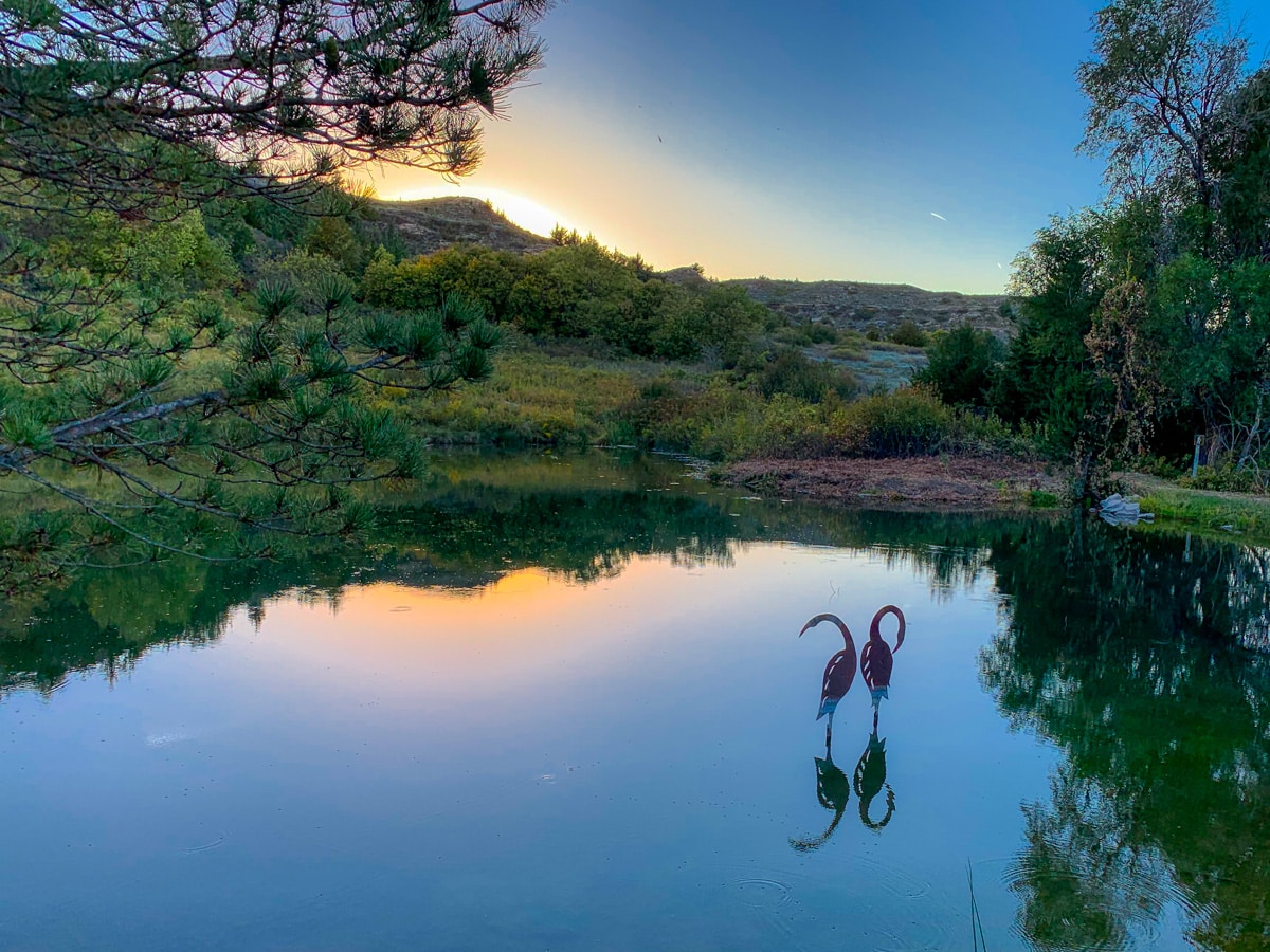 Two crane sculptures are nicely reflected in a still pond at sunset in Lake Scott State Park, Kansas.