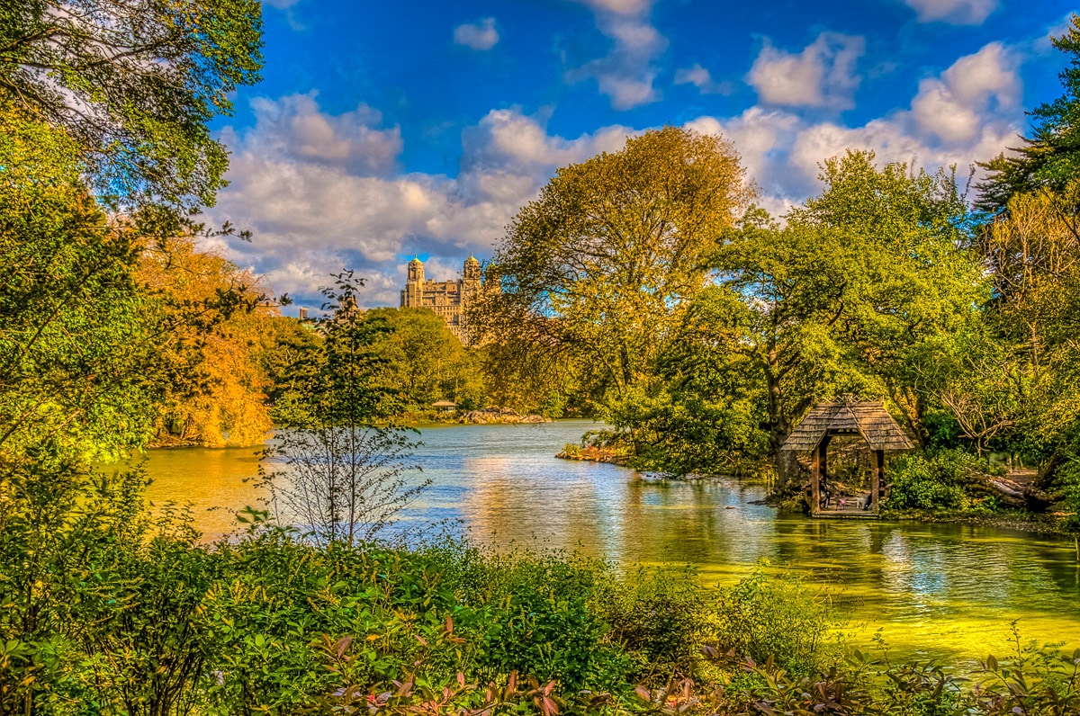 A restful view of The Pond in Central Park in New York City.