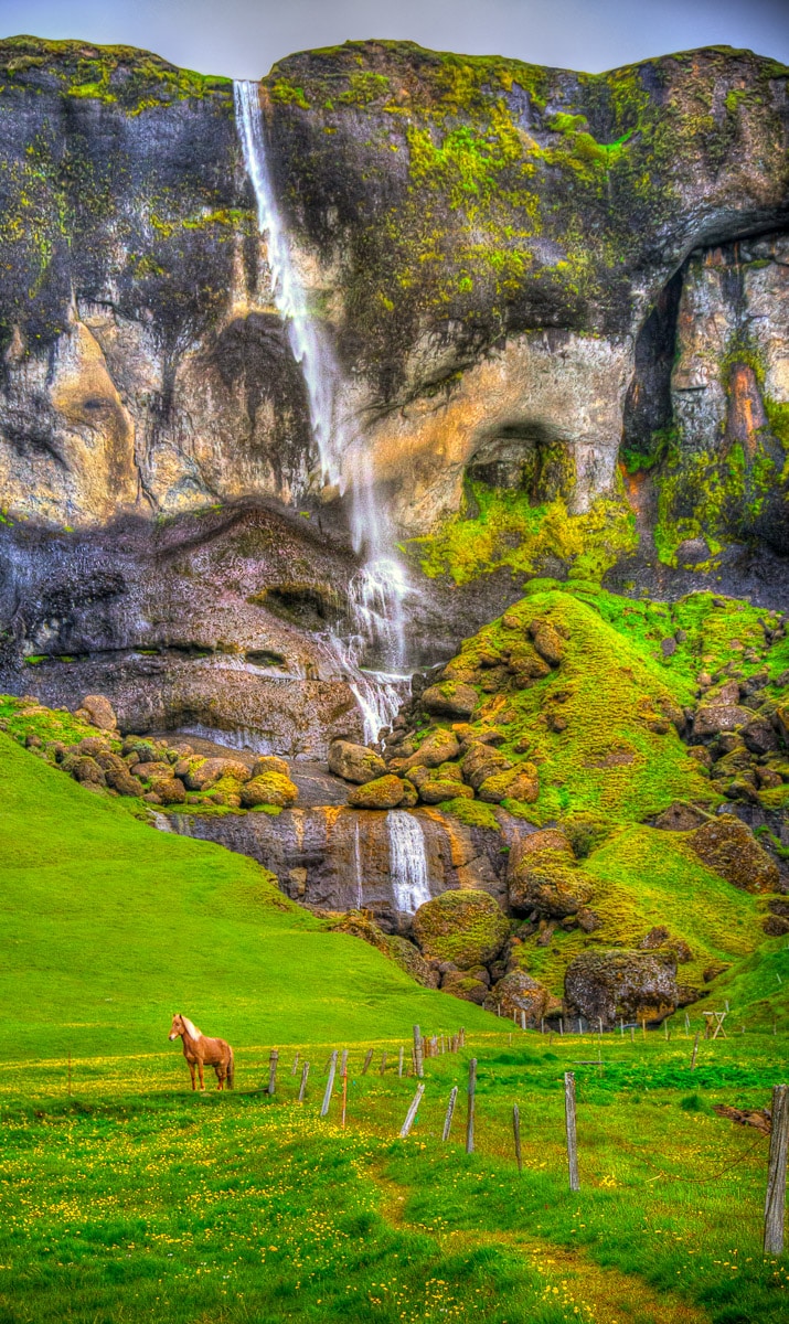 A hefty side wind diverts the waterfall Foss á Siðu in southern Iceland as a stalwart Icelandic horse enjoys the breeze.