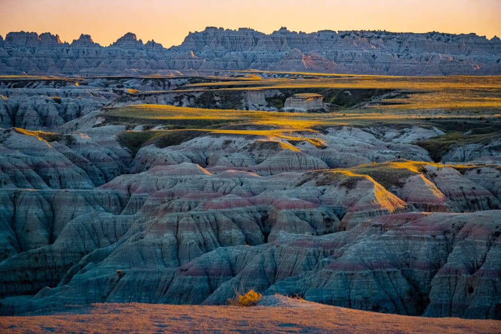 Remnants of the shortgrass prairie reflect the late afternoon, golden light in Badlands National Park, South Dakota.
