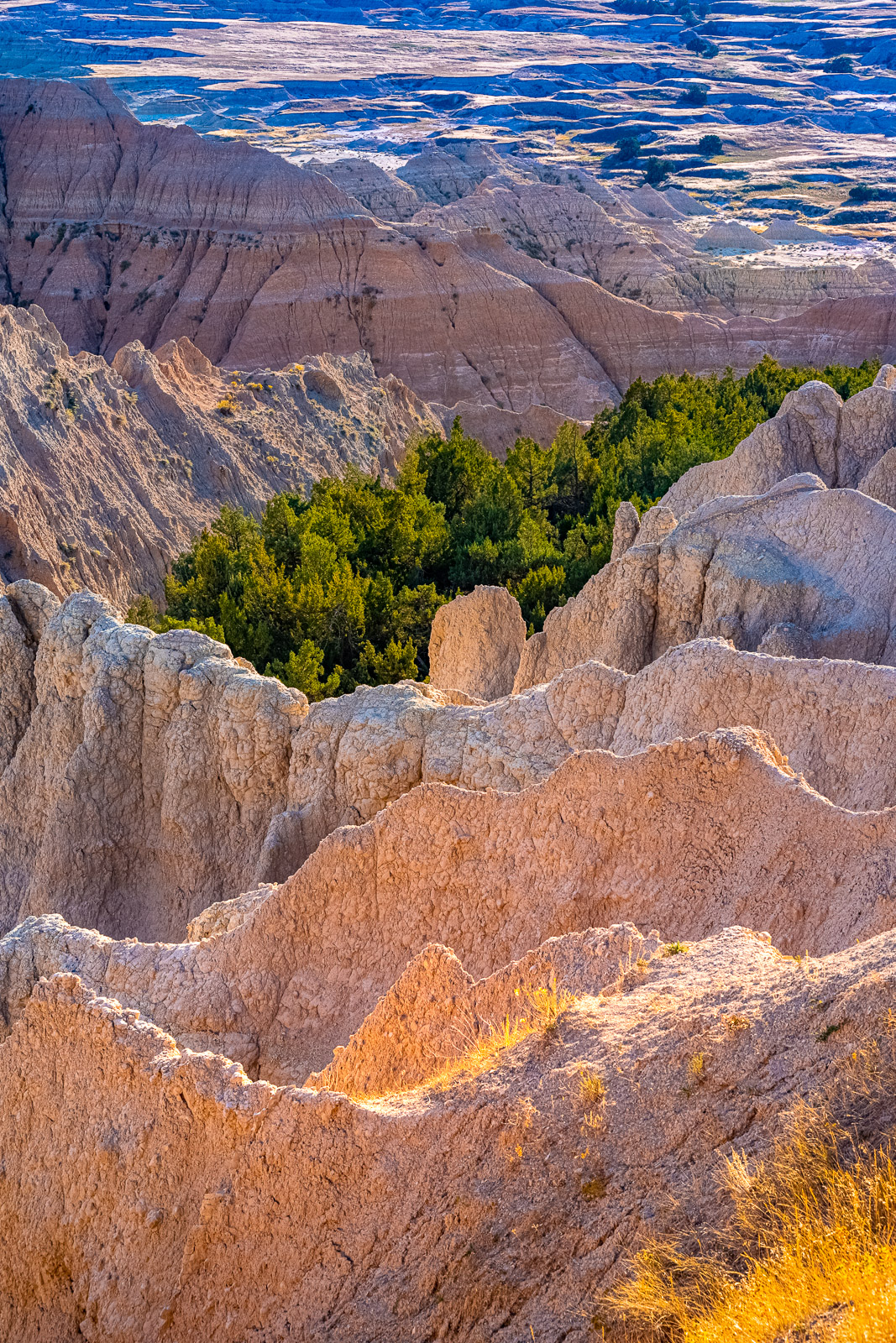 These erosional fins are delicately colored in hues of pink and yellow by the late afternoon light in Badlands National Park, South Dakota.
