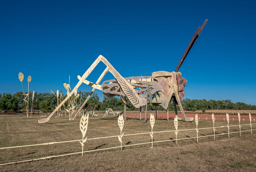 This is an overview of the sculpture by Gary Greff, called Grasshoppers in the Field. It is located along the Enchanted Highway, between I-94 and Regent, North Dakota.