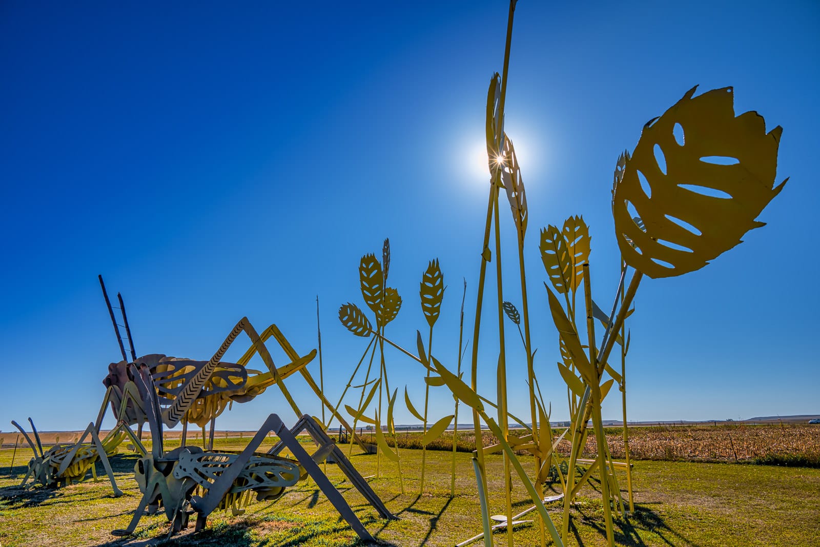 This is a view of the back of thesculpture by Gary Greff, called Grasshoppers in the Field, featuring the shock of wheat. It is located along the Enchanted Highway, between I-94 and Regent, North Dakota.