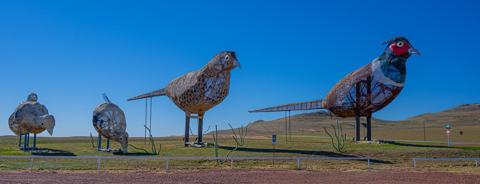 This family of pheasants by sculptor Gary Greff is located along the Enchated Highway running from I-94 to Regent, North Dakota.