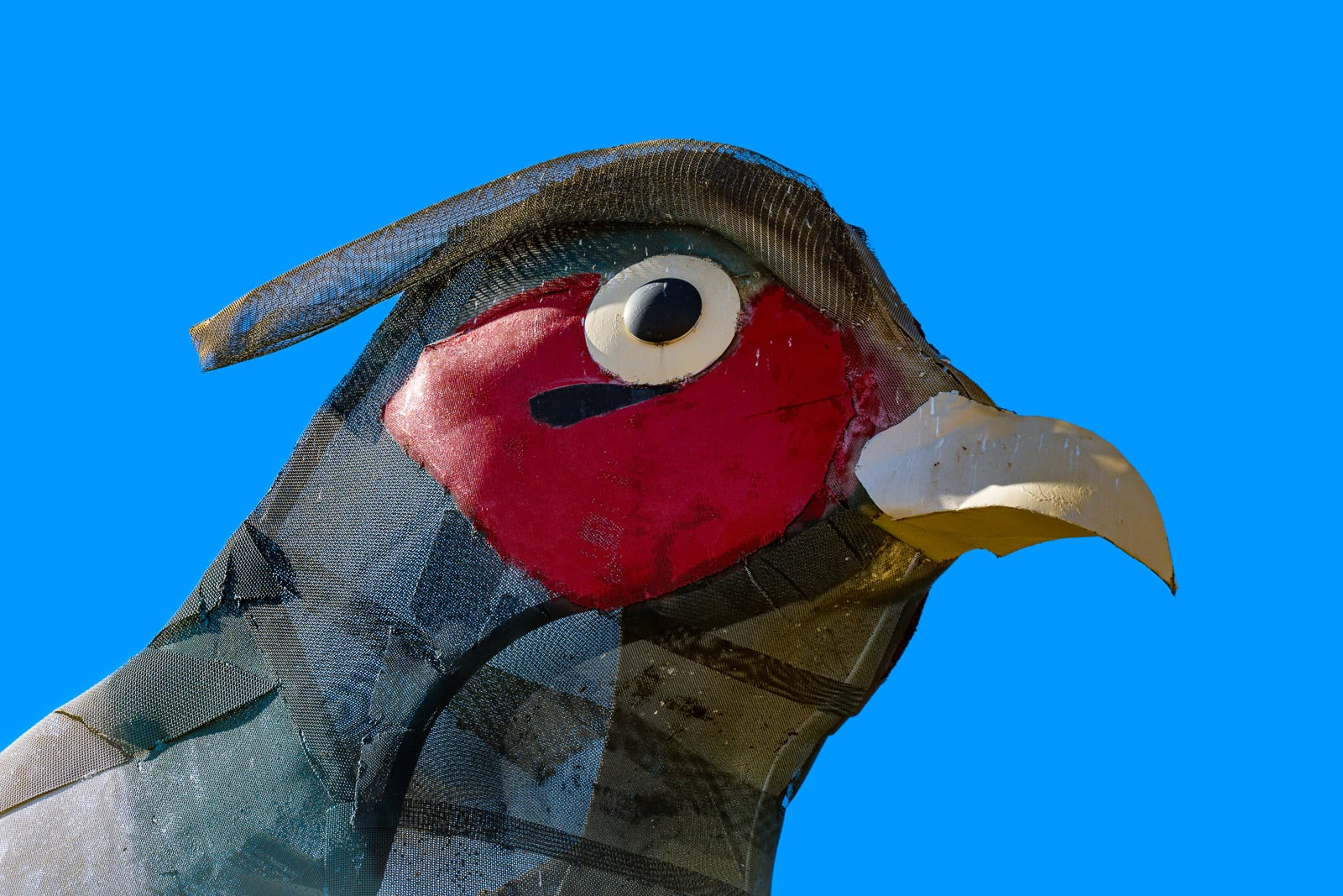This is a detail of the head of the male pheasant in the sculpture by Gary Greff called Pheasants on the Prairie, located along the Enchanted Highway running between I-94 and Regent, North Dakota.